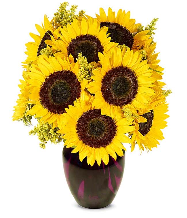 Stunning Sunflowers - Premium