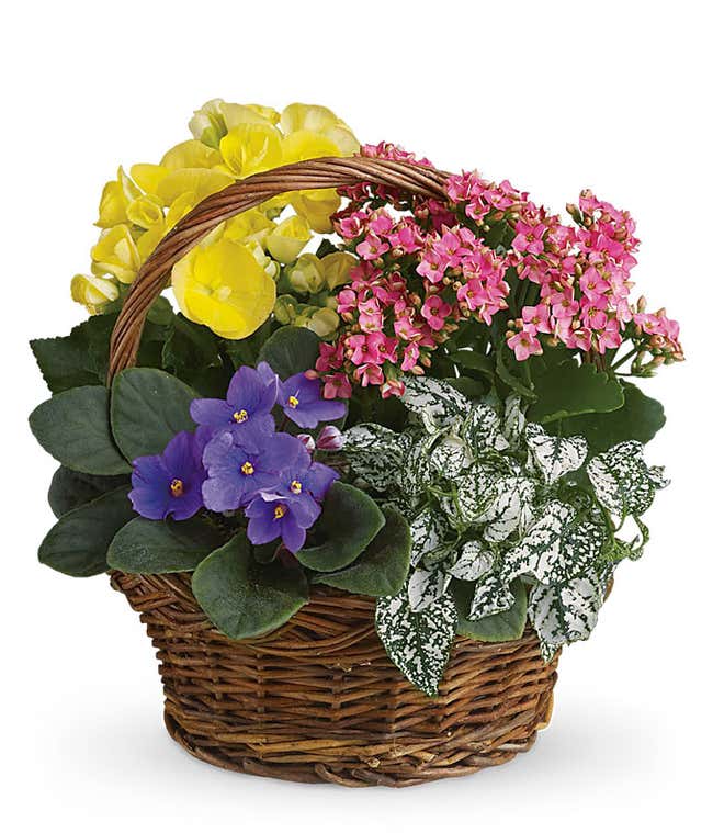 Summer Floral Basket