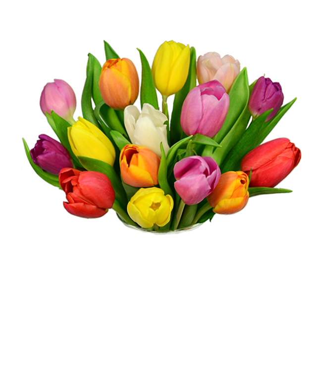 Mother's Day Tulips
