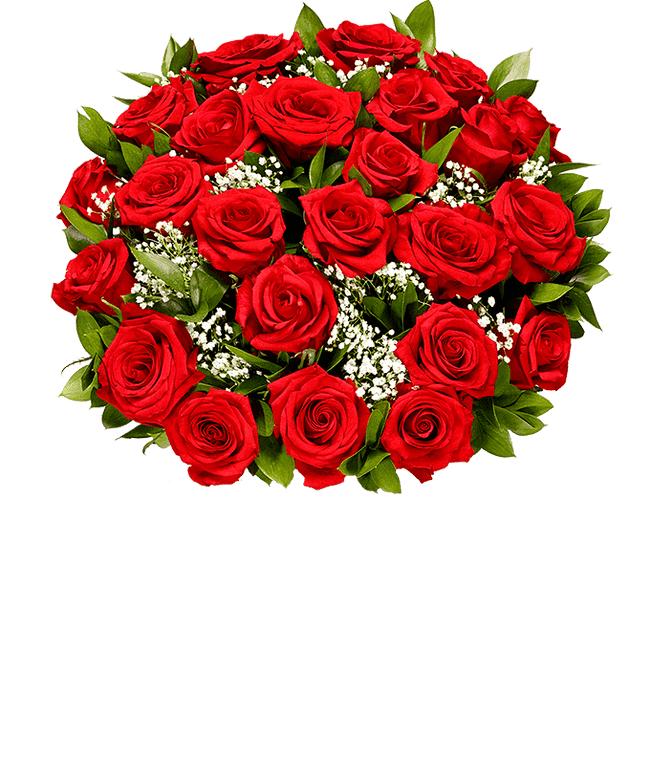 Two dozen red roses for next day delivery 